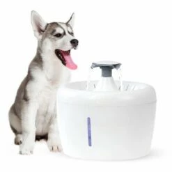 ZHUOXUAN Fontaine à Eau Pour Chat, Fontaine Chat 2.5L, Distributeur Eau Pour Chat Chien Avec Filtre à Charbon Actif, Fontaine Silencieuse Avec Plateau En Acier Inoxydable, Veilleuse à LED