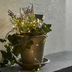 STAR Guirlande Solaire Micro LED Blanc Chaud