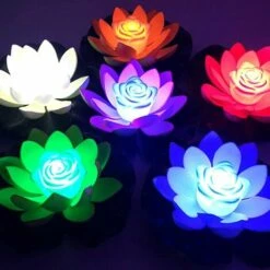 Lanterne De Lotus Flottante à Led Triomphe Lot De 3, NéNuphars, Led En Forme De Fleur De Lotus Artificielle Flottante, LumièRe De Lotus, Pour Décoration De Piscine, Jardin, Aquarium, Mariage 9 Lanterne De Lotus Flottante à Led Triomphe Lot De 3, NéNuphars, Led En Forme De Fleur De Lotus Artificielle Flottante, LumièRe De Lotus, Pour Décoration De Piscine, Jardin, Aquarium, Mariage -Luminaire solaire Soldes 2022 47298308 3