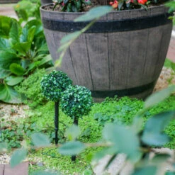 XANLITE - Lot De 2 Piquets LED Solaire "Buisson", Spéciale Extérieur (IP44) - SO2BUIS -Luminaire solaire Soldes 2022 47378390 3