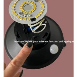 LUMIHOME Applique Led Solaire Extérieur SYDNEY Inox Avec Détecteur - 75 Et 500 Lumens -Luminaire solaire Soldes 2022 50831999 3